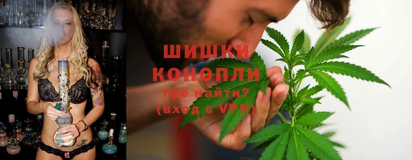 ПСИЛОЦИБИНОВЫЕ ГРИБЫ Баксан