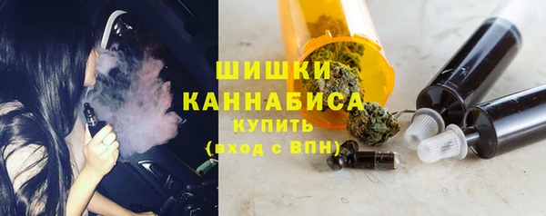 ПСИЛОЦИБИНОВЫЕ ГРИБЫ Баксан