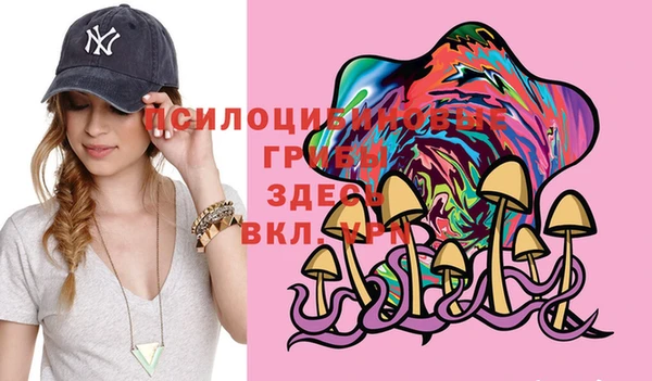 ПСИЛОЦИБИНОВЫЕ ГРИБЫ Баксан